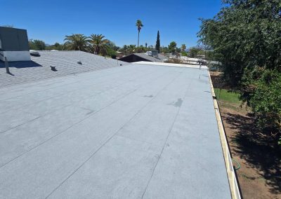 A view of a large, flat, gray rooftop with trees, grass, and palm trees nearby under a clear blue sky. Some residential buildings are visible in the background.