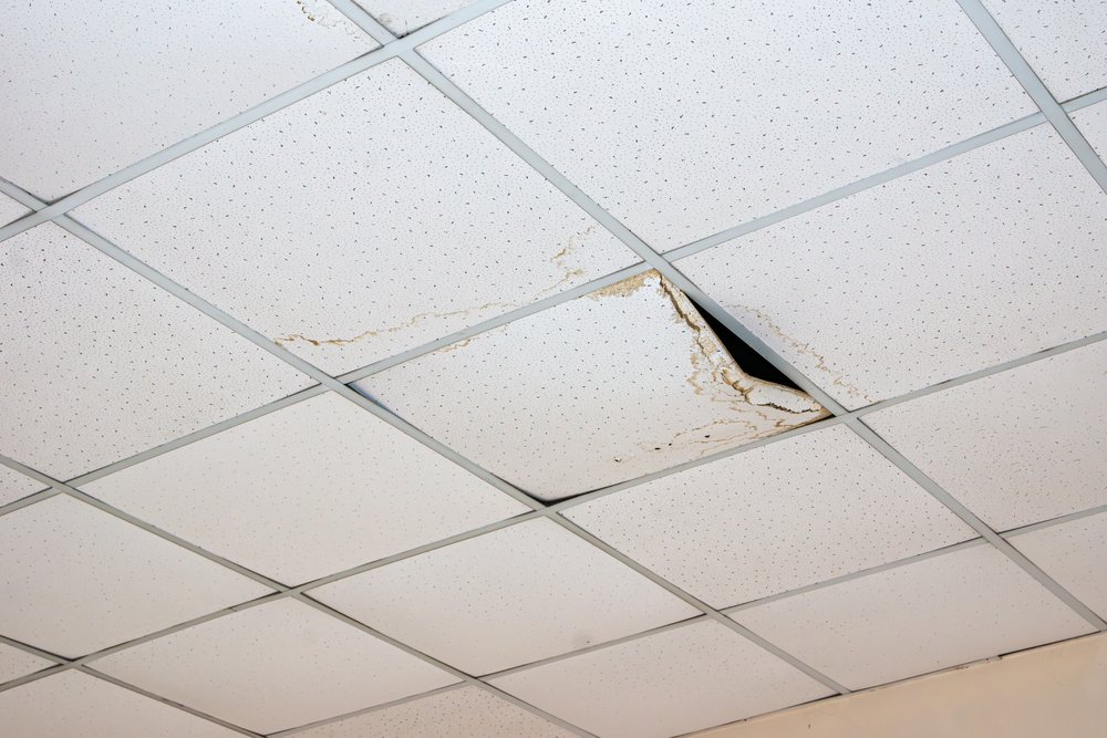 How to Spot Hidden Roof Damage Before It’s Too Late cover